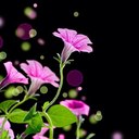 Judy Innes - @JudyInnes - Twitter