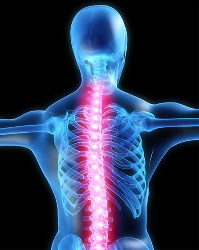 Let us get you up to date with the Ultimate Chiro App and boost your Practice like nothing before. Call us at 425-366-7550
