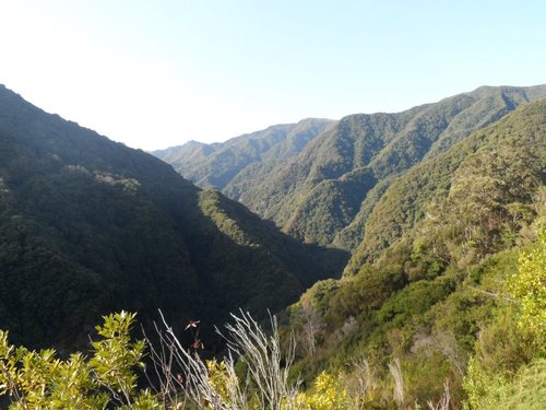 People who live, work, travel or have an interest in Madeira and its beautiful isles