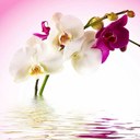 Jennifer Keller - @jenny03keller - Twitter