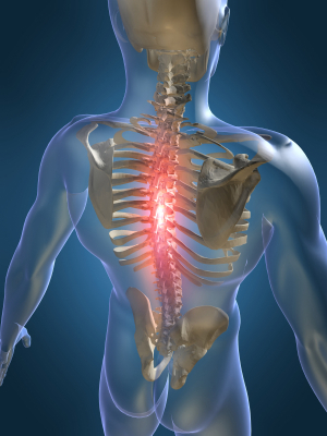 Let us get you up to date with the Ultimate Chiro App and boost your Practice like nothing before. Call us at 425-366-7550