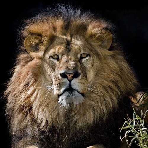 nooitgedacht19's profile picture. medewerker operationele voorbereiding OIV bij veiligheids regio Gelderland Zuid.

Bevelvoerder bij brandweer Geldermalsen en Buren.