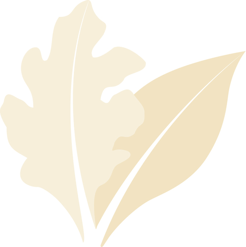 Workplace news and information for Harvard faculty and staff. Not working at Harvard yet? Find your dream job at http://t.co/jMjFrpheB1