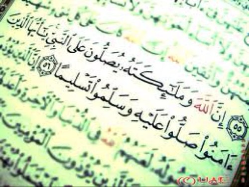 ranaalbasam's profile picture. ماجستير تقنيات تعليم - معلمة حاسب آلي