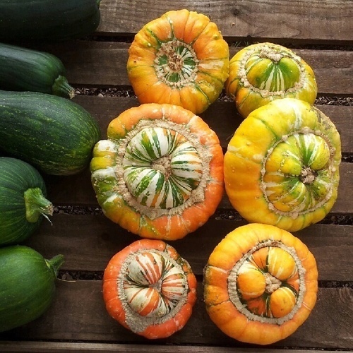 JessPinson's profile picture. Easily delighted. Lover of wild swimming, growing food & flowers, arty stuff & parties. Hugger. Very vegan. Community organiser. Outdoor arts & theatre producer