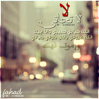 msromantk1's profile picture. رومانسية بلا حدود