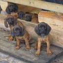 Joël Meyer - @mayer461 - Twitter