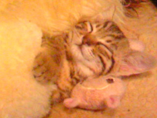 pinkheartribbon's profile picture. missing mid 90s. I'v been doing runningman with kicks on EDM since 1995〜1996〜1997〜. ｐLｕR 4evever. Is it calls shuffle nowadays,eh?OXOXOooo