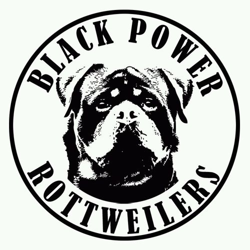 Rottweiler Breeder & Pet supplies Store.     Budaiya highway beside DHL. tel: 33008092