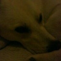 Becky Jarrett (@beckyjnorfolk) 's Twitter Profile Photo Becky Jarrett (@beckyjnorfolk) 's Twitter Profile Photo