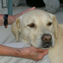 Rick Logan - @LoganR01 - Twitter