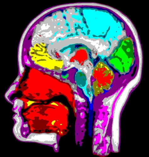 RichKriese's profile picture. father, teacher, and USMNT fan