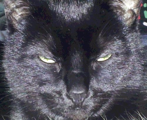 jeanine_lee's profile picture. 