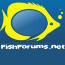 fishforums_net's profile picture. 