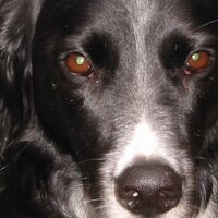 myra egan (@eganmyra) 's Twitter Profile