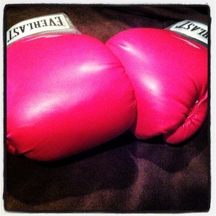 VigorousHeart's profile picture. Float like a butterfly, Sting like a bee.

Kik:VigorousHeart
 #FightLikeALady #fearless #TeamSingle #TeamIphone #TeamFB