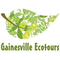 Guided hiking tours in Gainesville, Florida through wilderness and urban settings. Geocaching, birthdays, retreats, conferences, fitness hiking, scouts-Join us!