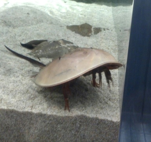 notxwakamechan's profile picture. ただの愚痴はき