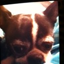 Christa Wyatt - @ruby_wyatt - Twitter