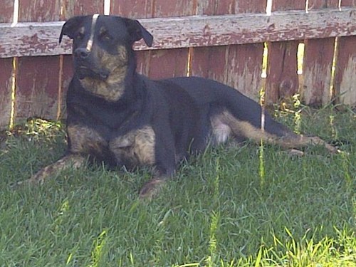 BahryRob's profile picture. R & D Manager with ADAMA Canada. Husband, father, dog lover, Jets fan