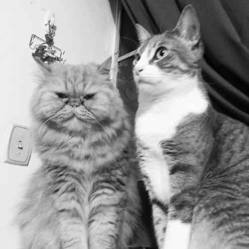 chofy68's profile picture. 