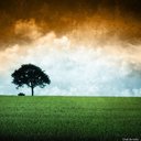 krish (@01_krish) Twitter