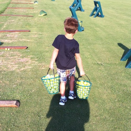 htowntiger72's profile picture. 