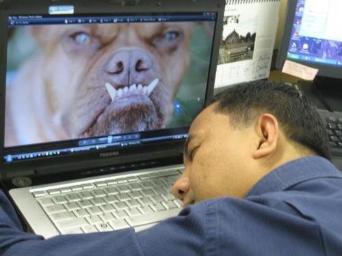 rjknightrunner's profile picture. Runner, Marathoner, Ultra-Marathoner, Photographer & a Mountaineer