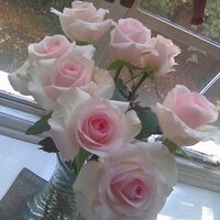 KN (@keikoeastenders) 's Twitter Profile Photo KN (@keikoeastenders) 's Twitter Profile Photo
