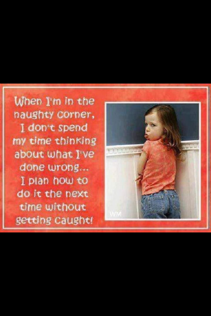 onepurplerocket's profile picture. 