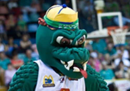 Not THE Townsville Croc. Just a raucous reptile with no team that loves the NBL.