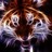 redmuseum1's profile image
