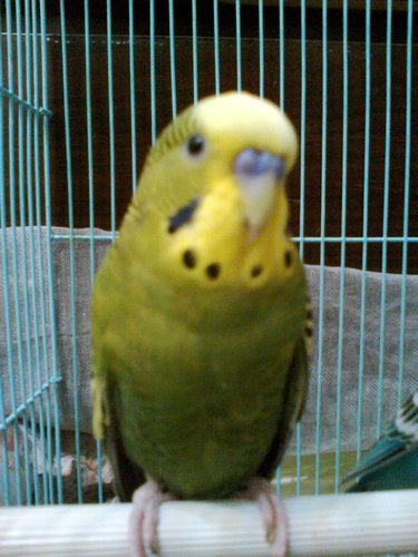 p0202k's profile picture. 好痛