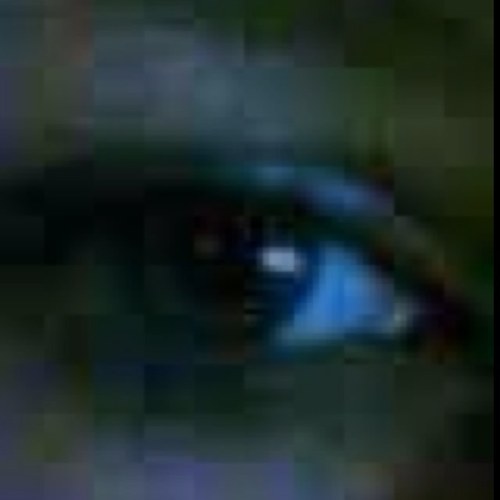 littledemona's profile picture. 