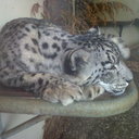 Jodie_1012 - @JodieBloom1 - Twitter