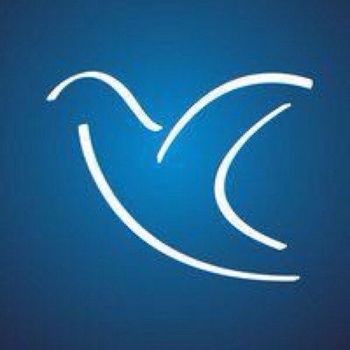 dap_papei's profile picture. Ο επίσημος λογαριασμός στο Twitter