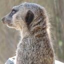 lucie lambert - @madamelu55 - Twitter