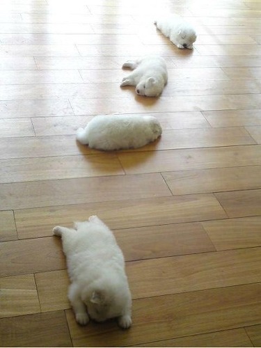 구엽당~~