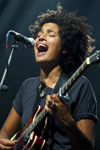 popsrobs's profile picture. mainly gristle