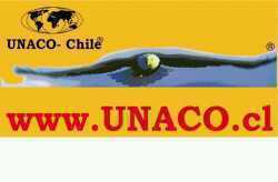 Desde 1990 defendiendo el derecho a cobrar su seguro en Chile. Somos “EL TERROR“ del Mercado Asegurador chileno.