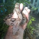 greg foote - @PapaFt - Twitter