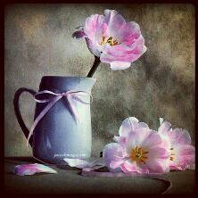 janh_to's profile picture. اللهم إني أسألك رضاك والجنه.