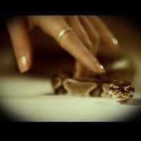 سم الآفاااعي (@sm_al_faai) 's Twitter Profile