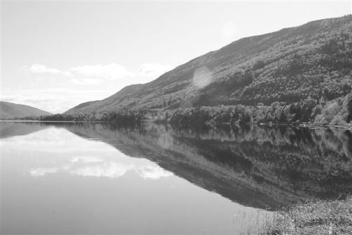 KenMaidment's profile picture. Dad, Husband, Buyer, Fire Chief, drink the odd glass of Screech and pint of Rickards Red.. All Good!!!