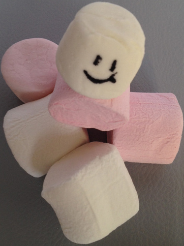 We are The Custom Marshmallow Company. Imagine marshmallows in bespoke shapes and flavours for every occasion. That's us.
