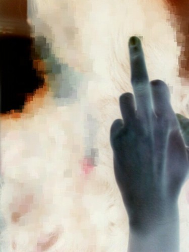 ohwPLEASE's profile picture. 