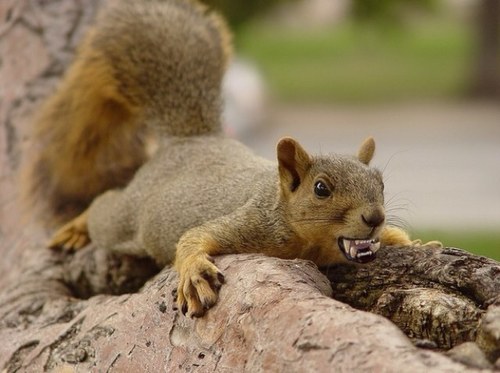 BissLp's profile picture. Ich bin Let's player Auf You Tube und wenn ihr euch fragt warum ich euch folge.... Damit ihr meine Videos seht und mich auf You Tube entdeckt!