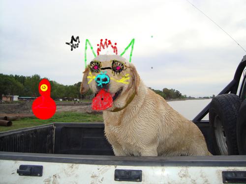 ema89596662's profile picture. 