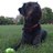 circle_360's profile image