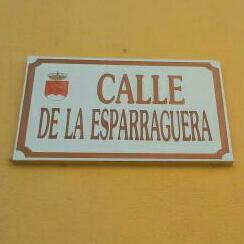 ESPARRAGUERA's profile picture. ♀️
Hija de dos personas maravillosas, madre orgullosa. 
Vivir es lo que toca ❤♀️